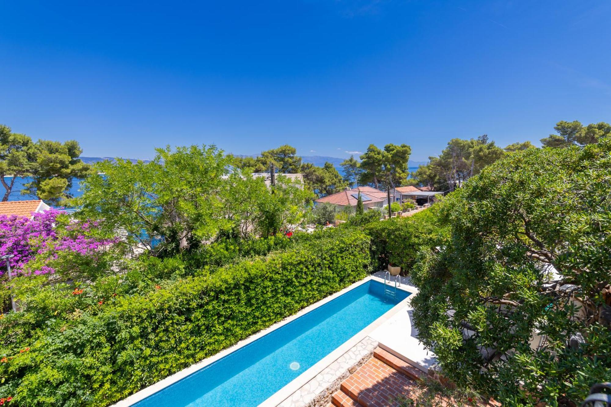 Gallus - Jelsa, Hvar *